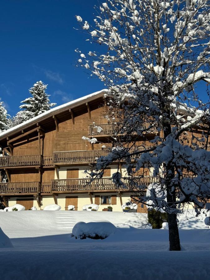 Apartment Le Repaire Proche Piste